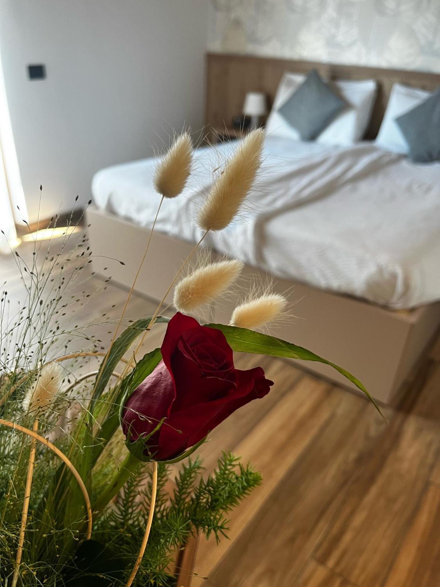 Agriturismo Maso Miri Trento Kültér fotó